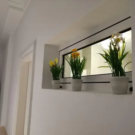 Taidia Playa del Ingles (Gran Canaria)