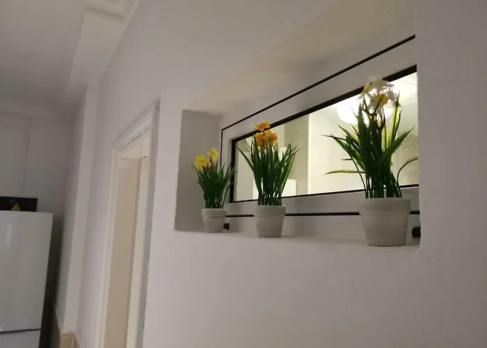 Taidia 普拉亚戴尔雷安格莱斯