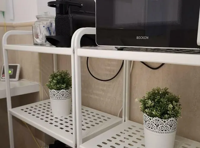 Taidia 普拉亚戴尔雷安格莱斯