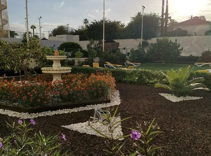 Taidia * 普拉亚戴尔雷安格莱斯